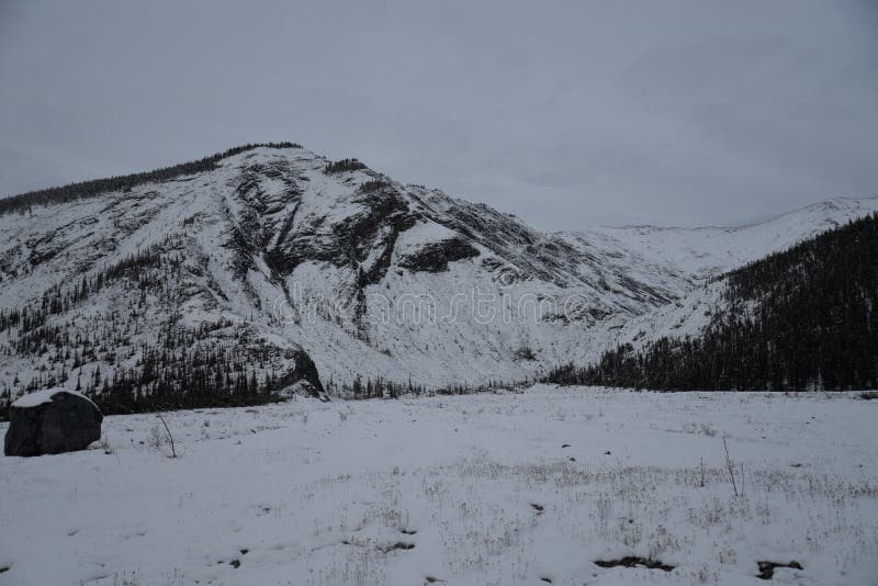 Snowy field leading to the mountains near Watson Lake, Yukon Territory, Canada