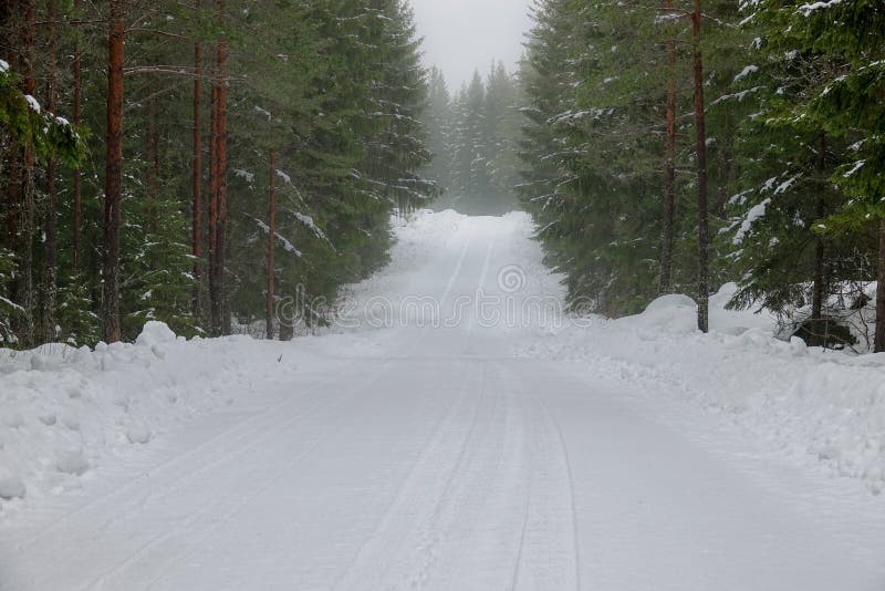 A snowy, foggy road in the forest royalty free stock images A snowy, foggy road in the forest royalty free stock images