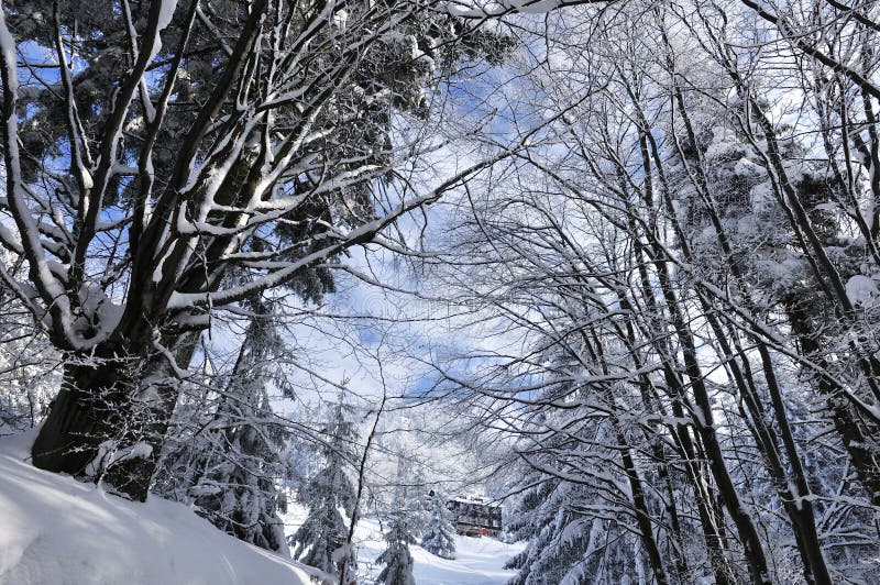 Chata pod Suchym, Mala Fatra, Slovakia