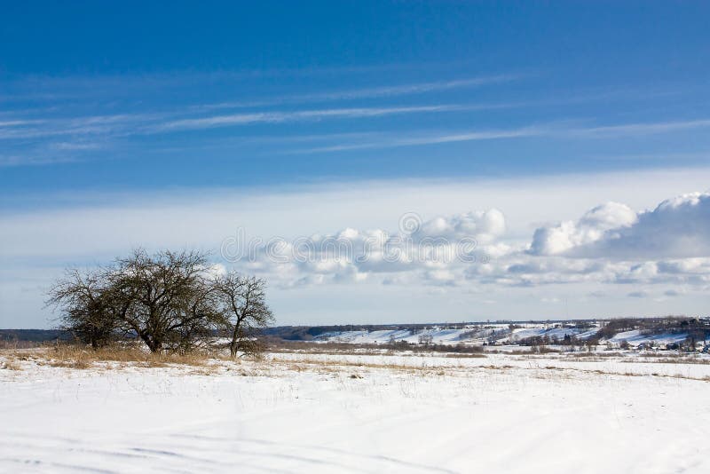 Snowy Landscape