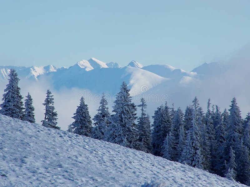 Winter landscape in Carpathians with snow, trees and mountains. Winter landscape in Carpathians with snow, trees and mountains.