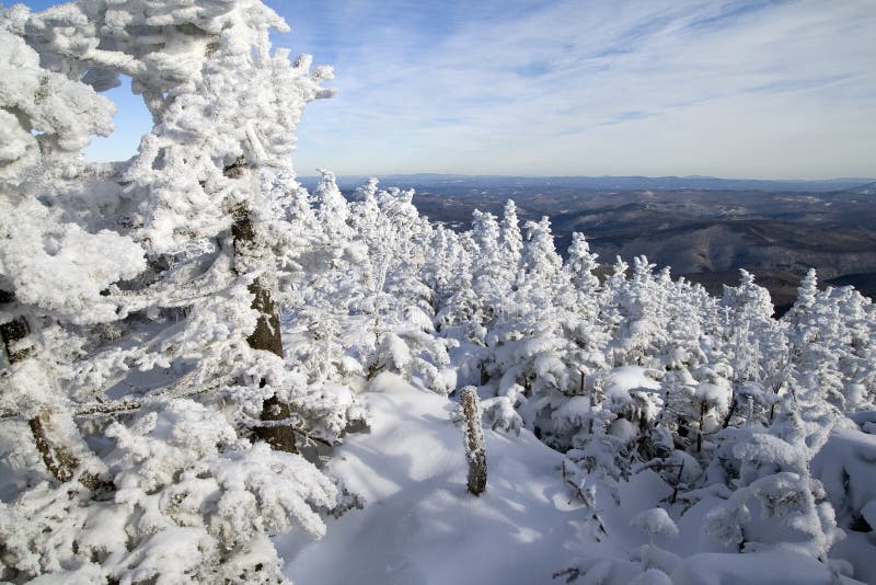 Snowy Landscape