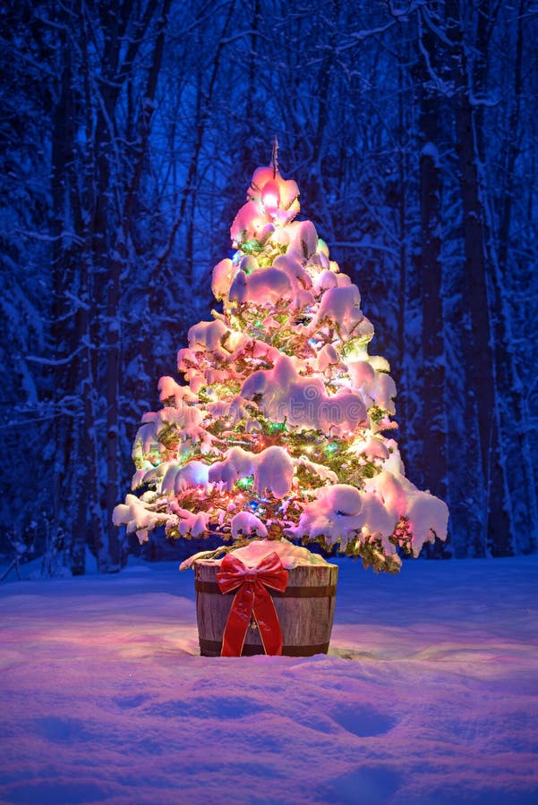 Snowy-Lit-Weihnachtsbaum nachts in einem Wald