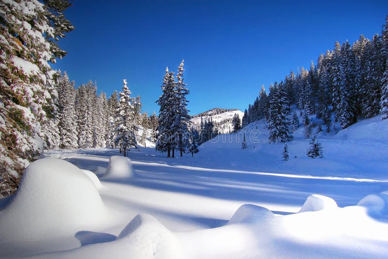 Picturesque view of snowed mountains, open area surrounded by trees. Picturesque view of snowed mountains, open area surrounded by trees.