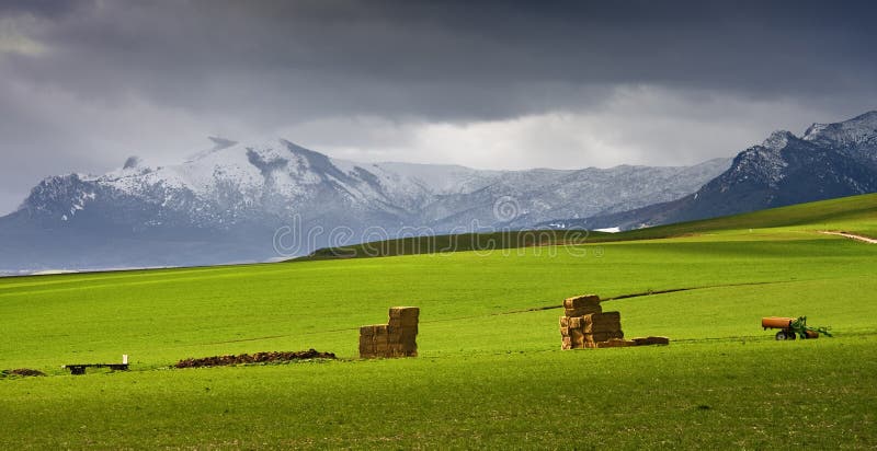 Snowy mountains and grassland