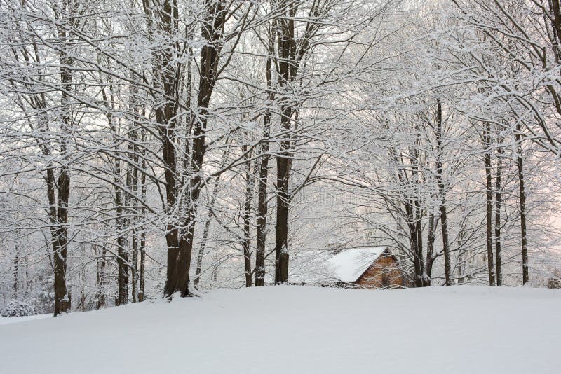 A tranquil wintry scene includes snow covered trees and bushes and a cozy cottage nestled into the snowy countryside. The sky is lit up with the subtle tones of a winter sunset. A tranquil wintry scene includes snow covered trees and bushes and a cozy cottage nestled into the snowy countryside. The sky is lit up with the subtle tones of a winter sunset.