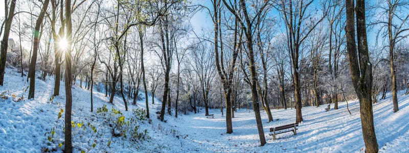 Snowy park with sun in winter, Nitra, Slovakia