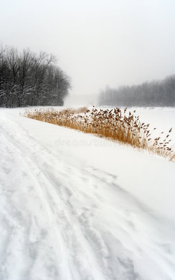Snowy path in winter landscape