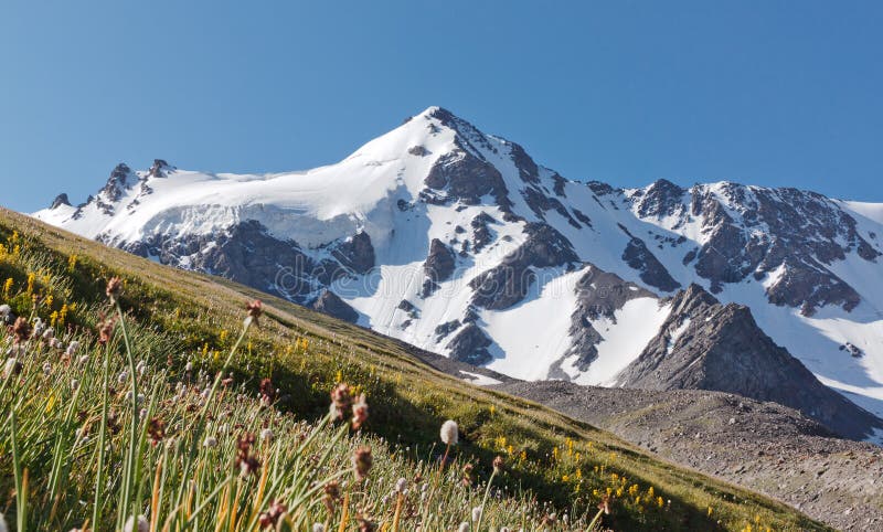 Snowy peak royalty free stock photography