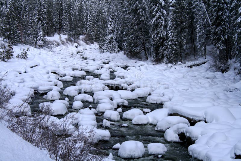 Snowy River