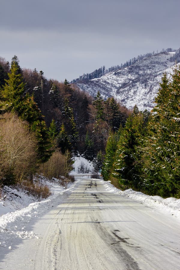 Snowy road to coniferous forest in mountains