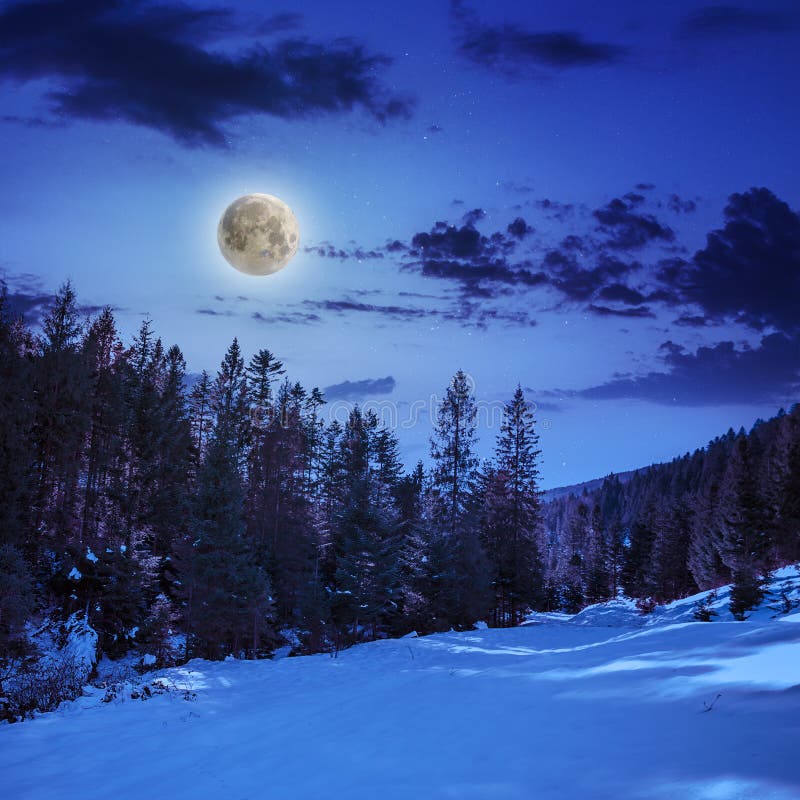 Snowy road to coniferous forest in mountains