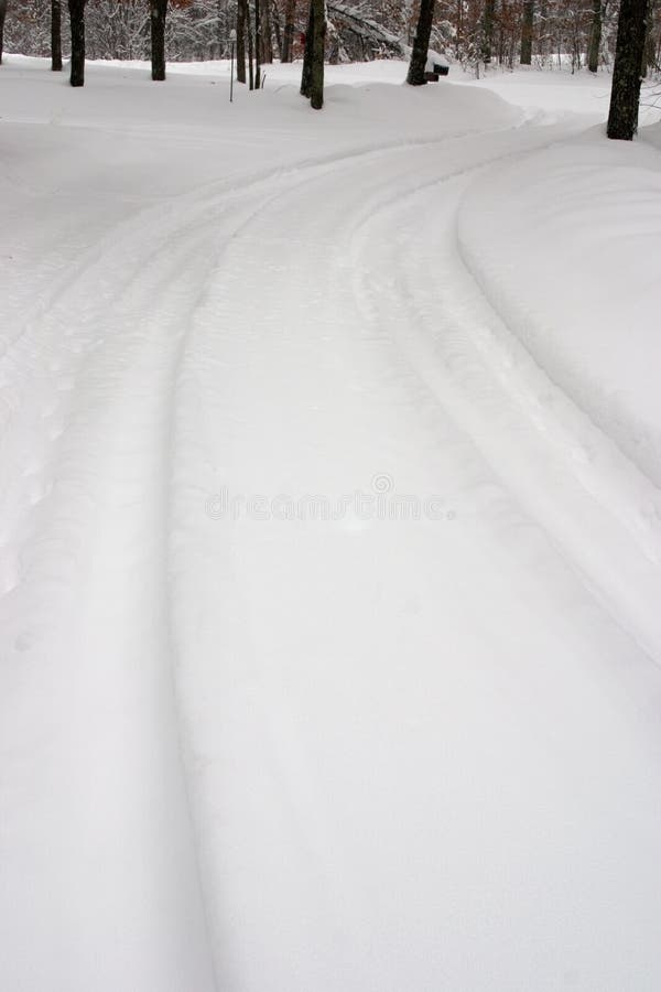 Snowy Roadway