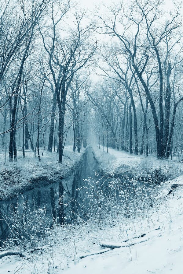 Snowy stream in the woods.