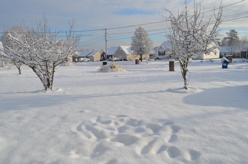 Snowy weather stock photo. Image of snowy, chattanooga 63995482