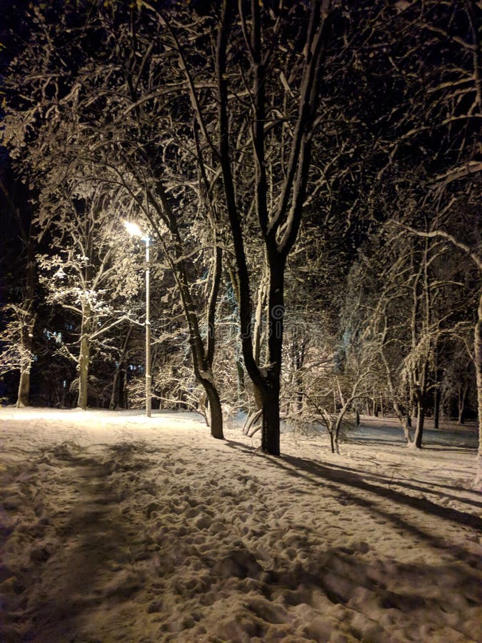 Snowy Winter. Fabulous Mood. Snow. Stock Photo - Image of home, snow ...