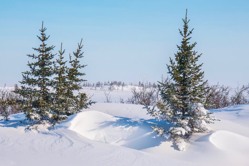 A snowy winter landscape in Canada.