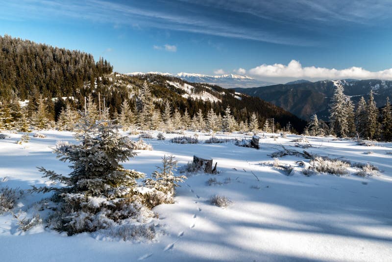 Zasnežená zimná krajina. Pohľad z Veľkej Fatry na Vysoké Tatry, Slovensko