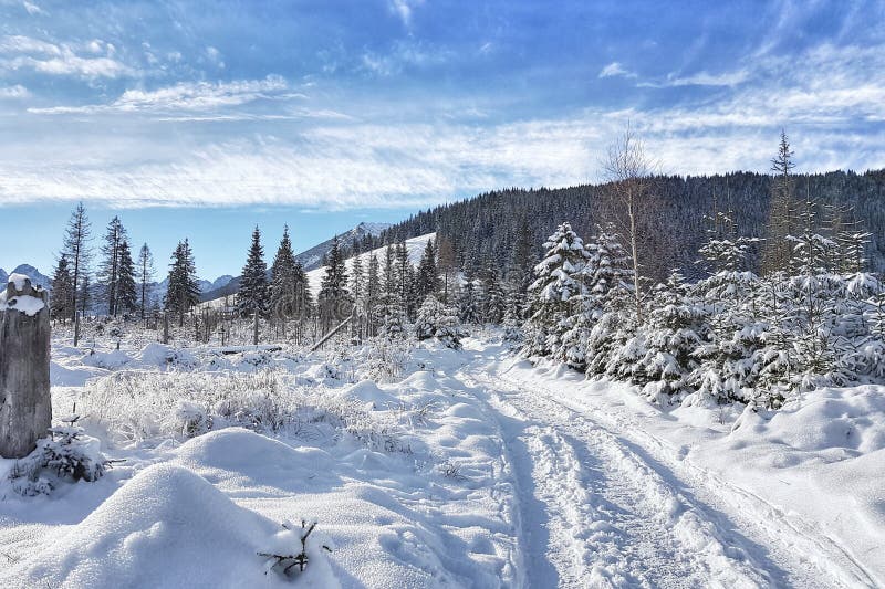 Snö-täckt vinterväg i bergdalar fotografering för bildbyråer Snö-täckt vinterväg i bergdalar fotografering för bildbyråer