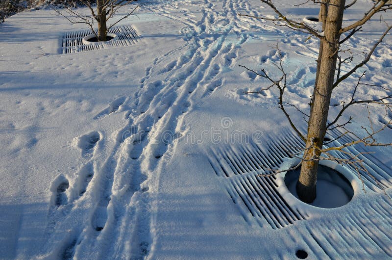 Snöfall med ett litet snöskikt. ett rutnät med runt hål arkivbild