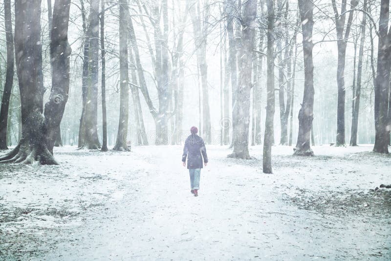 Snöfall parkerar in med den ensamma gå kvinnan arkivbild Snöfall parkerar in med den ensamma gå kvinnan arkivbild
