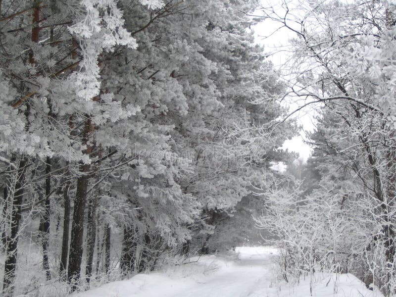 Snöig bana arkivfoto