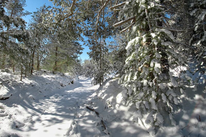 Snöig bana i Etna Park, Sicilien royaltyfria bilder