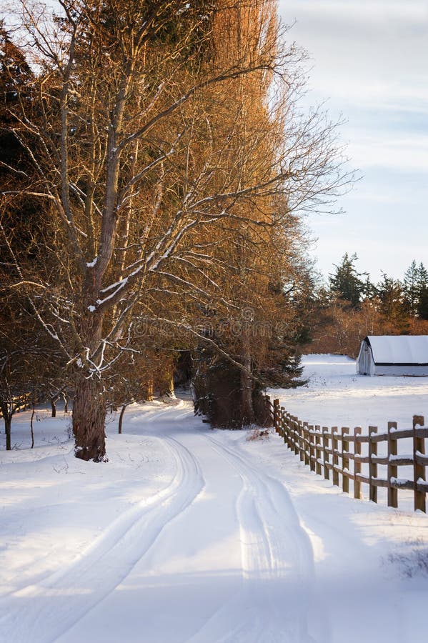 Snöig landsgränd och staket royaltyfri fotografi Snöig landsgränd och staket royaltyfri fotografi