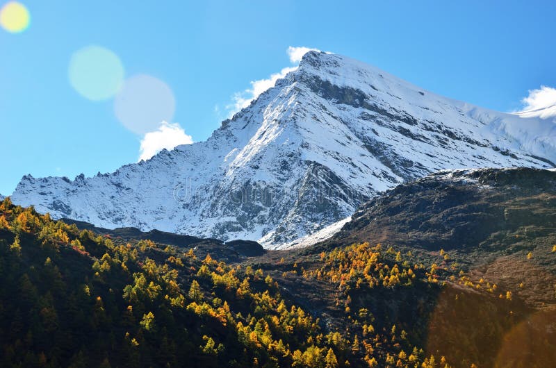 Snöig stenigt berg med alpint i höst med klar himmel royaltyfri foto Snöig stenigt berg med alpint i höst med klar himmel royaltyfri foto