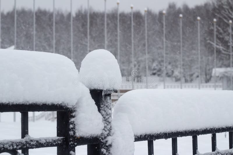 Snölock på stängsel fotografering för bildbyråer Snölock på stängsel fotografering för bildbyråer