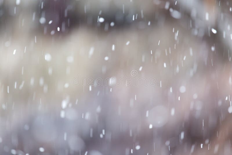Snönedgångar på naturen royaltyfria bilder Snönedgångar på naturen royaltyfria bilder