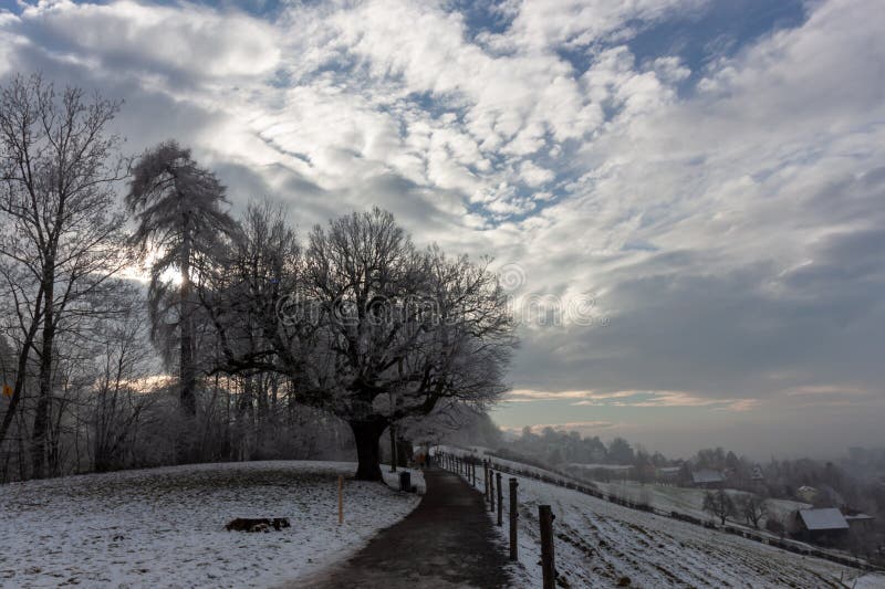 Snöstig som gränsar till frostade träd och en mjuk lutning med avlägsna byggnader i St.. Gallen arkivbild