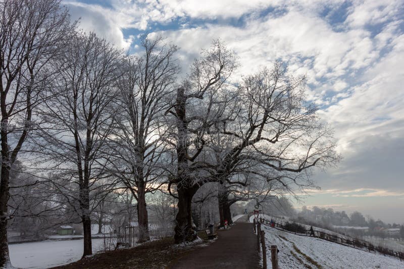 Snöstig som gränsar till frostade träd och en mjuk lutning med avlägsna byggnader i St.. Gallen fotografering för bildbyråer