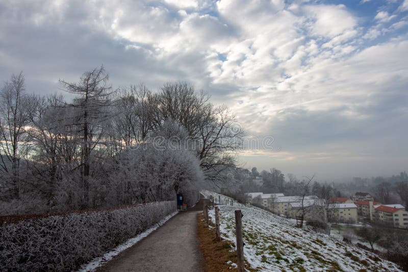 Snöstig som gränsar till frostade träd och en mjuk lutning med avlägsna byggnader i St.. Gallen royaltyfri fotografi