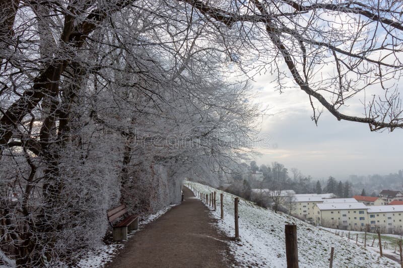 Snöstig som gränsar till frostade träd och en mjuk lutning med avlägsna byggnader i St.. Gallen royaltyfri bild
