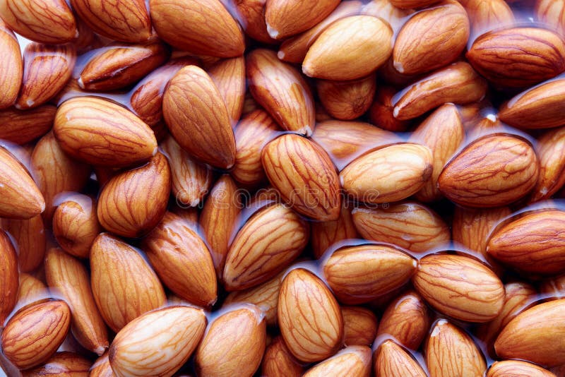 High Blood Pressure Threatens Health Stock Photo Image of high, lung