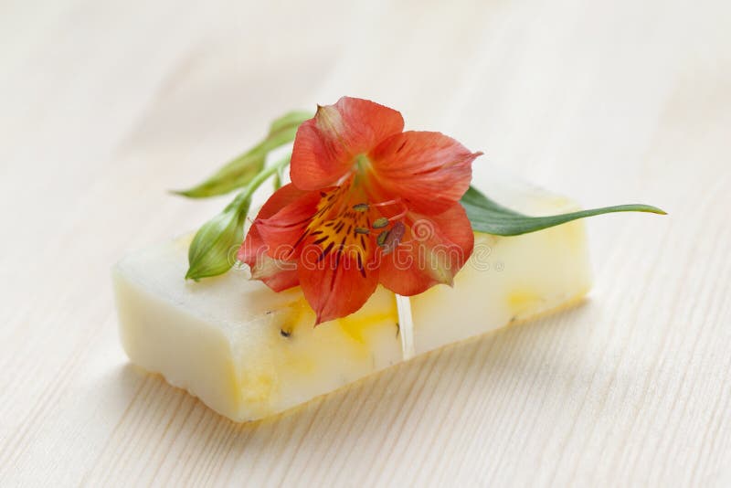 Soap Bar with Natural Ingredients Stock Image Image of body, macro 25817389