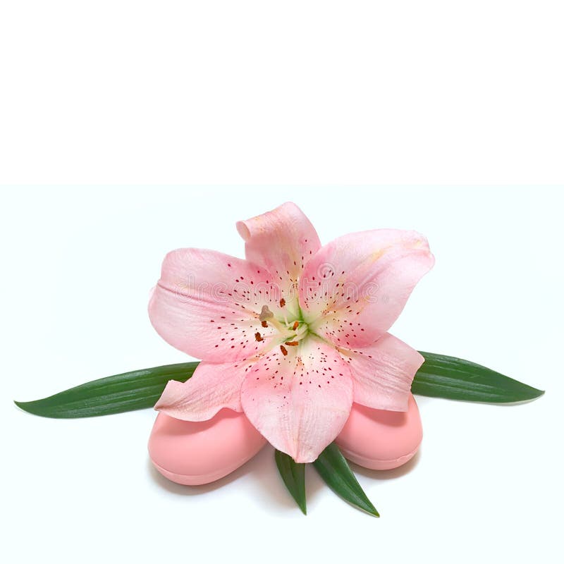 Soap and flower isolated on blue