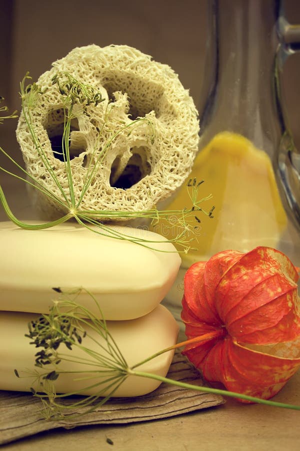 Soap and loofah sponge stock image. Image of care, homemade 23540933