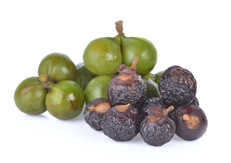 Soap Nut Tree Isolated On White Background Stock Image Image of
