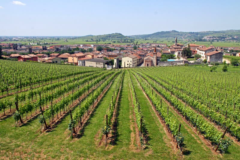 Soave in Italy, famous for its wine and grapes