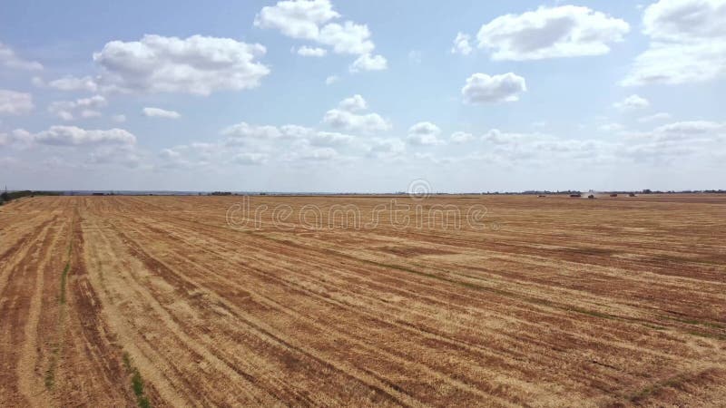 Sobrevoação dos campos de trigo colhidos