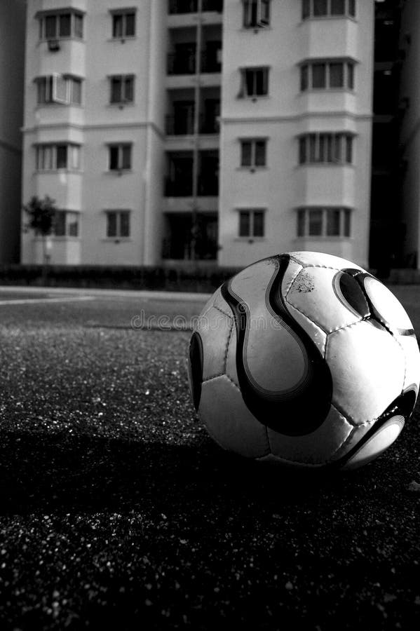 Soccer Ball In Black And White Stock Photo Image of turf, black 1724322
