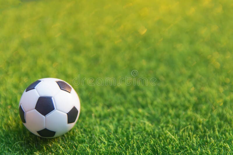 Soccer Ball on Grass Green Field with Copy Space Stock Photo Image of