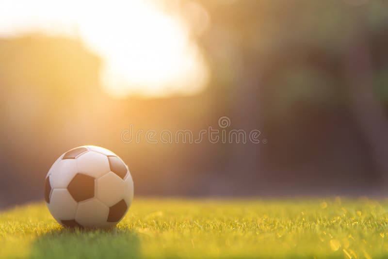 Soccer Ball on Grass Green Field with Copy Space Stock Photo Image of