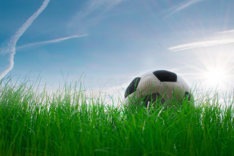 Soccer Ball on the Grass in the Park Stock Image - Image of park ...