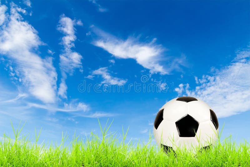 Soccer ball on green grass with blue sky royalty free stock photo