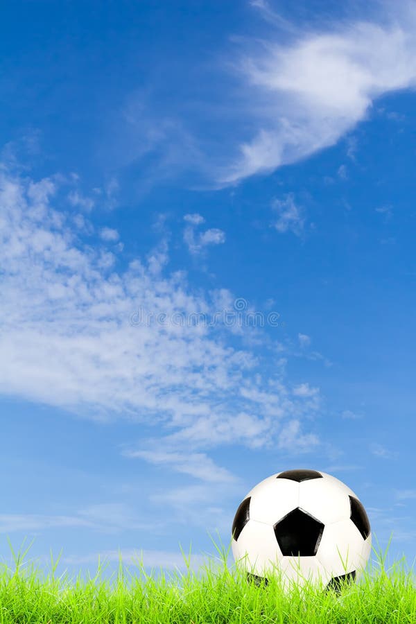 Soccer ball on green grass with blue sky royalty free stock images