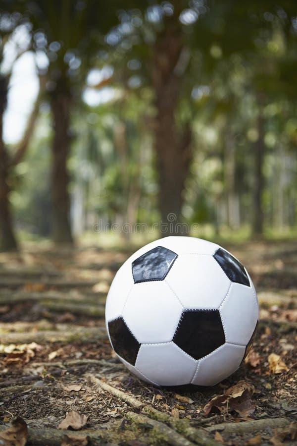 Soccer ball on a ground stock image. Image of soccer 184951067