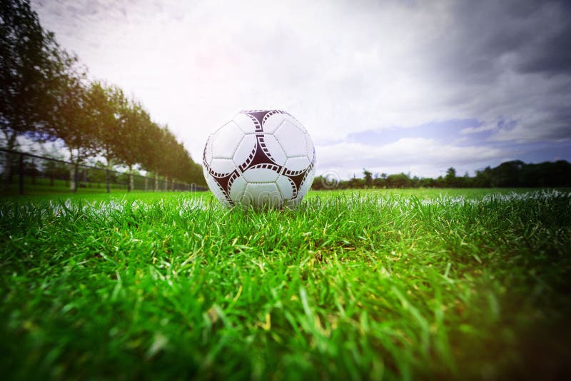 Soccer Ball on Marking Line Stock Photo Image of professional, ground 255572794
